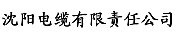 久久国产乱子伦精品免费女电缆厂logo